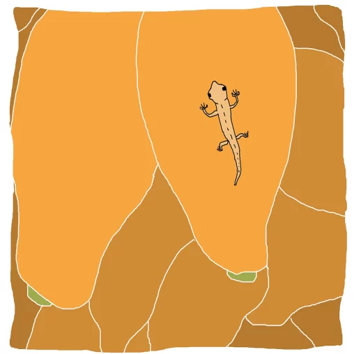 Crônica "Piloto Ticha", publicada em 04/09/2025 no Jornal Rascunho. Ilustração: FP Rodrigues. Disponível em: https://rascunho.com.br/cronistas/carolina-vigna/piloto-ticha/