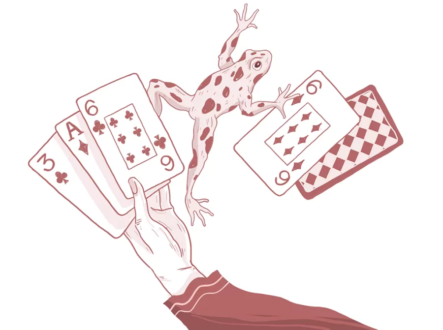 Crônica "Sapos", publicada no Rascunho em 04/01/2024. Ilustração: Eduardo Mussi. https://rascunho.com.br/cronistas/carolina-vigna/sapos/