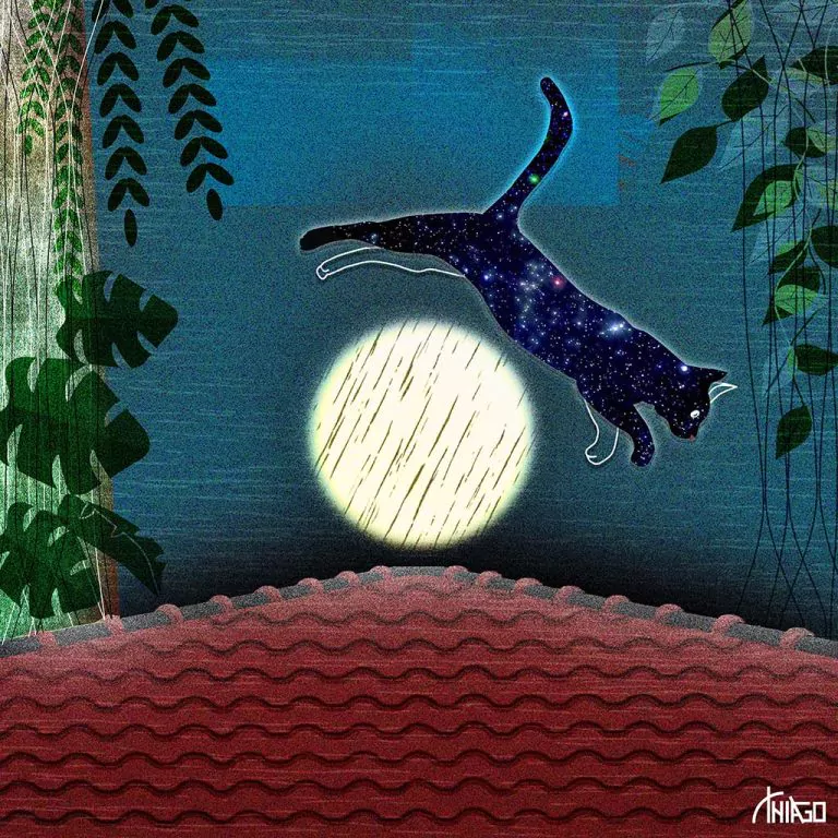 Crônica "Ângulos", publicada no Rascunho em 22/03/2024. Ilustração: Thiago Lucas. https://rascunho.com.br/cronistas/carolina-vigna/angulos/